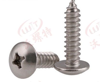 大扁頭十（shí）字自攻