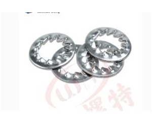 內鋸（jù）齒鎖緊墊（diàn）圈